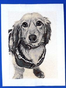 フォト刺繍 セピア 犬 猫