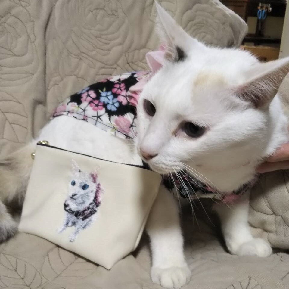 フォト刺繍　猫　ポーチ
