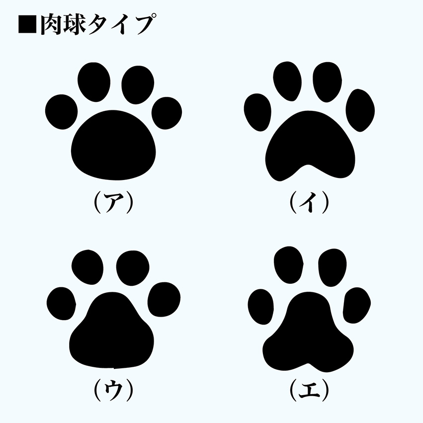 肉球カラー32種類の確認ページ》 クリアランス大特価 - dcsh.xoc.uam.mx